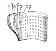 PS2570534327玛勒滤芯mahle filter EH抗燃油滤...